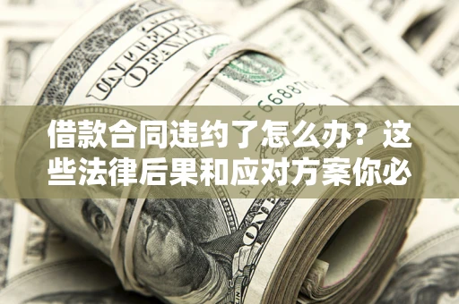 武汉借款合同违约了怎么办？这些法律后果和应对方案你必须知道