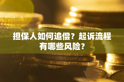 武汉担保人如何追偿？起诉流程有哪些风险？