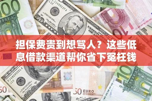 武汉担保费贵到想骂人？这些低息借款渠道帮你省下冤枉钱