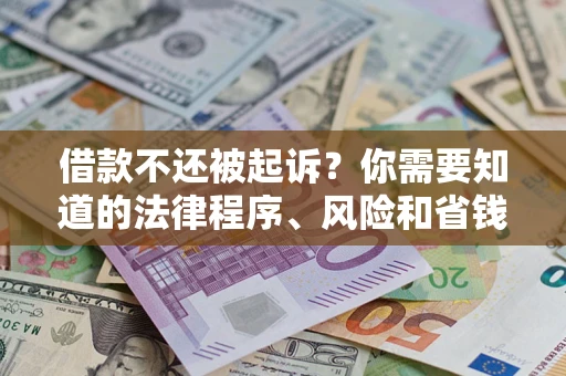 武汉借款不还被起诉？你需要知道的法律程序、风险和省钱技巧