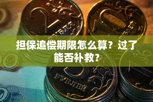 武汉担保追偿期限怎么算？过了能否补救？